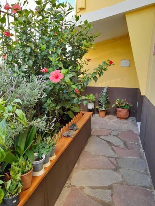 El Rincon De Nina Villa La Laguna  Eksteriør billede